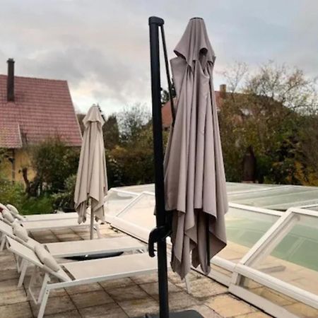 Soh Rent Villa Piscine Proche Strasbourg Tv - Wifi - Parking Lampertheim Экстерьер фото